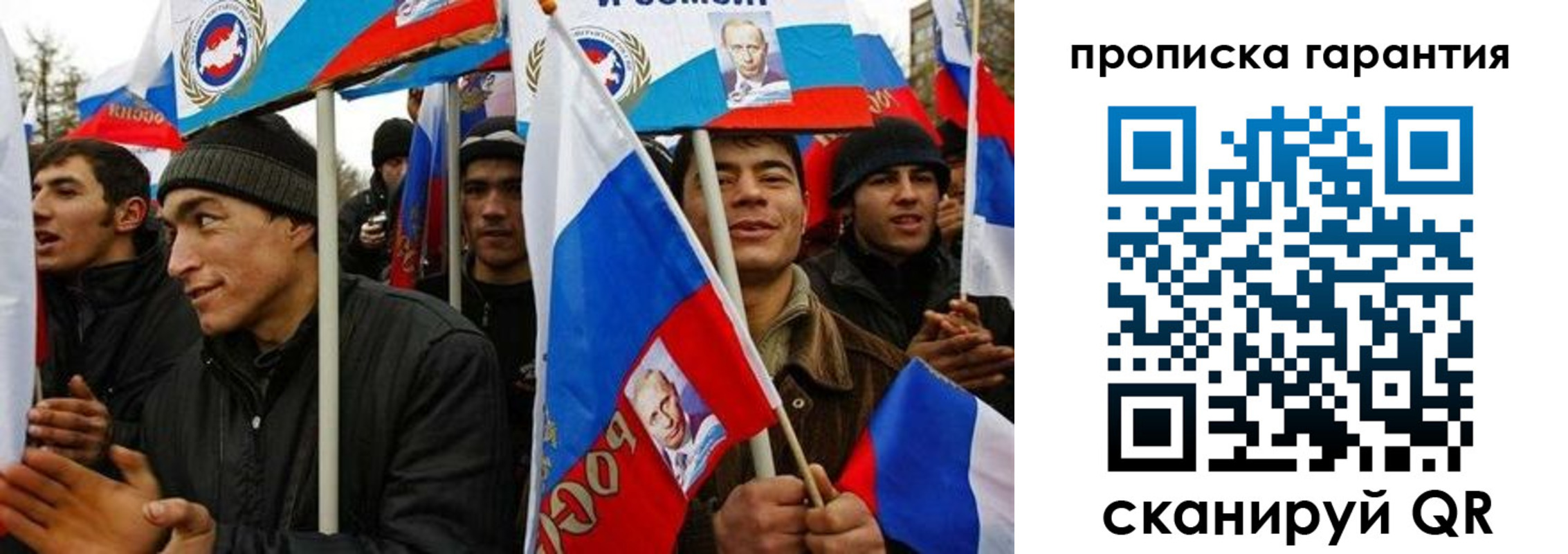 прописка поиск в Курской области